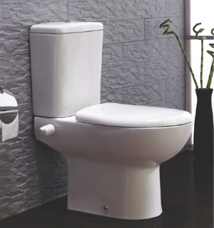 Ideal Standard Plan Combination Toilet with Seat and Tank White