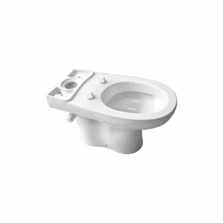 Roca Ciza P-trap WC with bidet nozzle and stop valve white A34234G00G