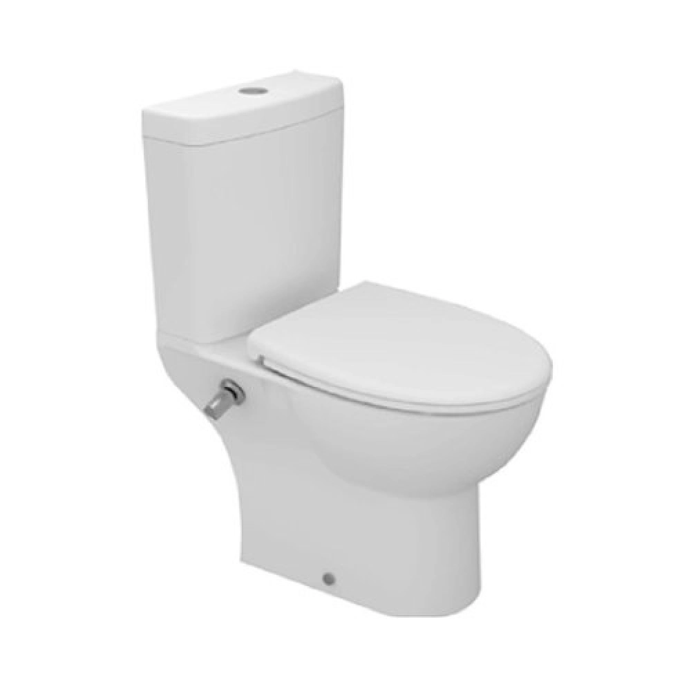 Sanipure Rosetta Combination Toilet with Seat & Cover and Tank