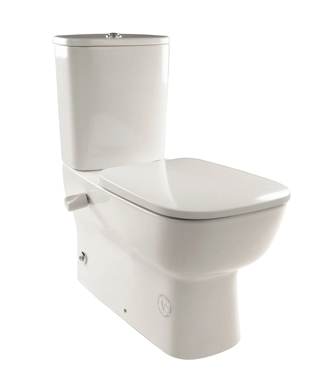Ideal Standard New Esedra Back to Wall Combination Toilet with Seat and Tank White