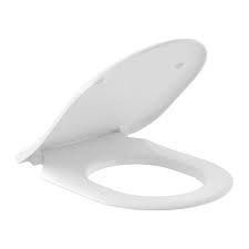 Sarreguemines Icon Rimless Wall-Hanging Toilet White