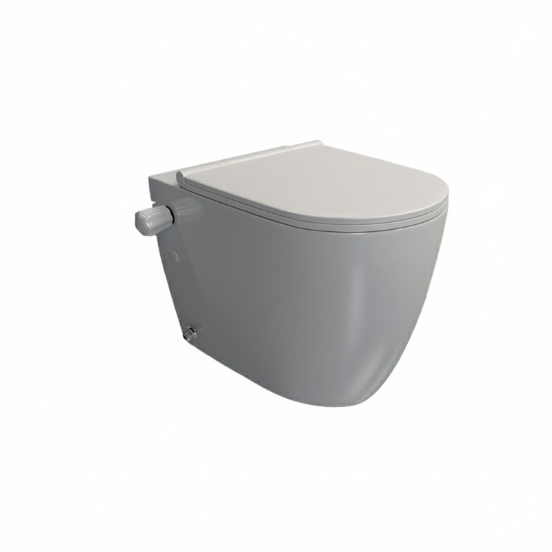 Sarreguemines Icon Rimless Wall-Hanging Toilet White