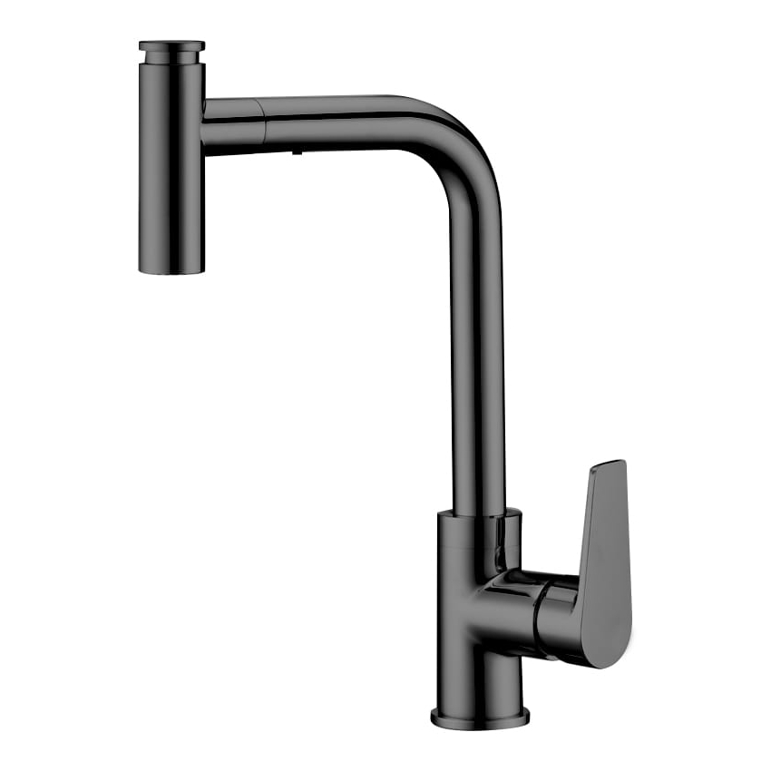Lutz Pull-Out Single-lever Kitchen mixer - Matte Black