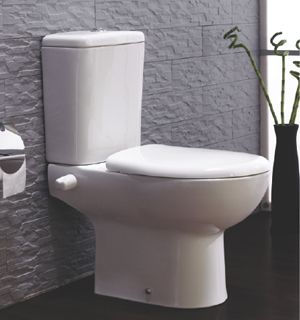 Ideal Standard Plan P-Type Toilet with Bidet White 0621 G