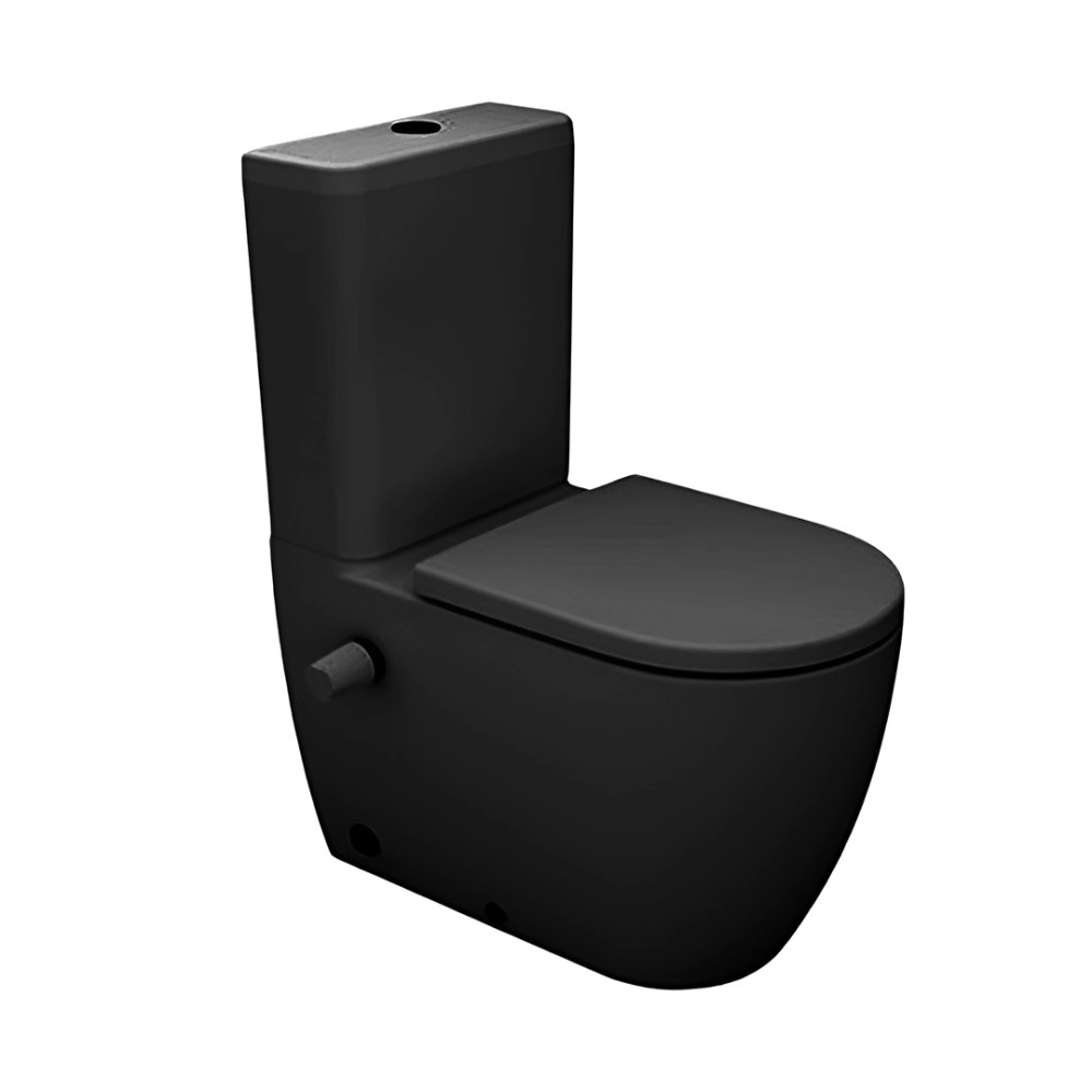 Sanipure Vega Back to Wall Combination Toilet with Soft Close Seat & Cover and Tank Matt Black